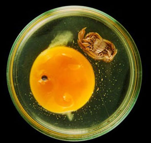 1620959378504886.png 鍥剧墖3.png