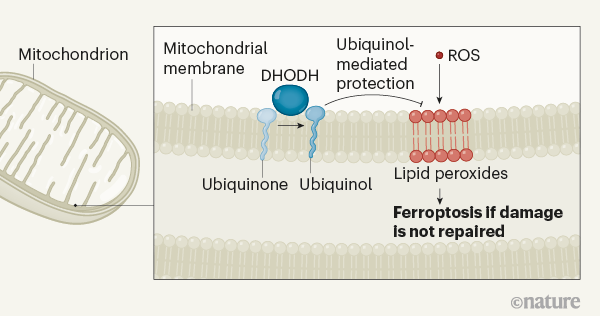 1621307024818352.png 涓嬭浇.png