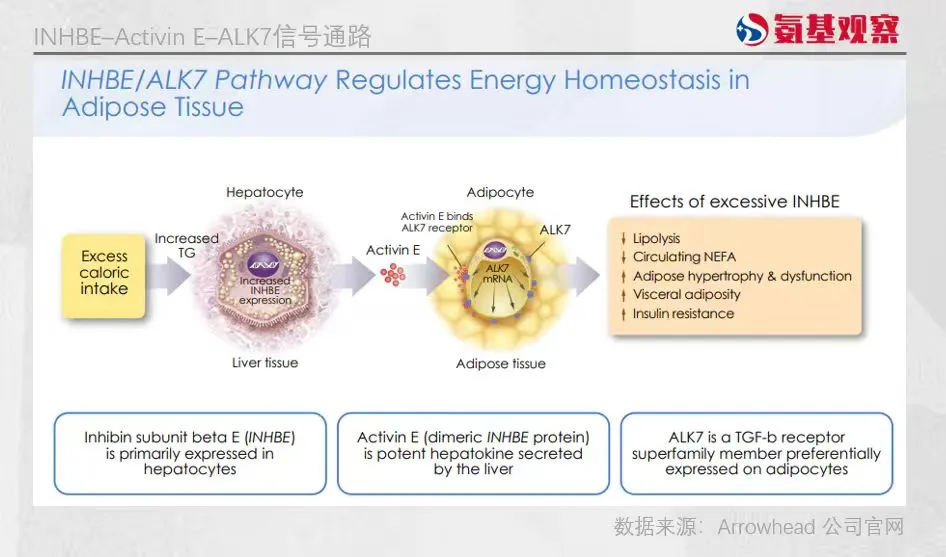 1768550882870274.png 640.png